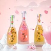 红动果酒桃花季 青梅酒桂花酿375ml女士低度酒梅子酒微醺少女甜酒