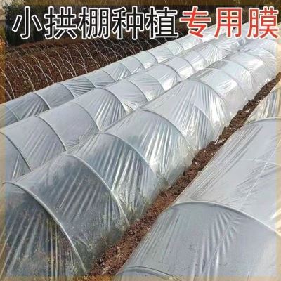 农用小拱棚专用膜大棚内二层膜秧苗水稻西瓜膜加厚保温薄膜塑料布