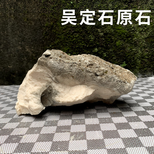 原石吸水石上水石菖蒲附石景观石