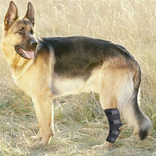 宠物护具狗狗户外用品打猎犬护腿后腿无力金毛护腿辅助