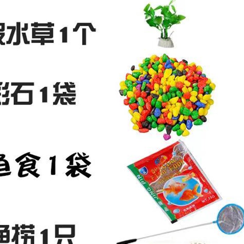 扁口玻璃圆形透明鱼缸家用小型迷你乌龟缸客厅办公室水培器皿容器