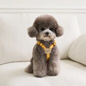 小狗狗牵引绳背心式 遛狗绳子泰迪比熊小型犬胸背带外出狗链子宠物