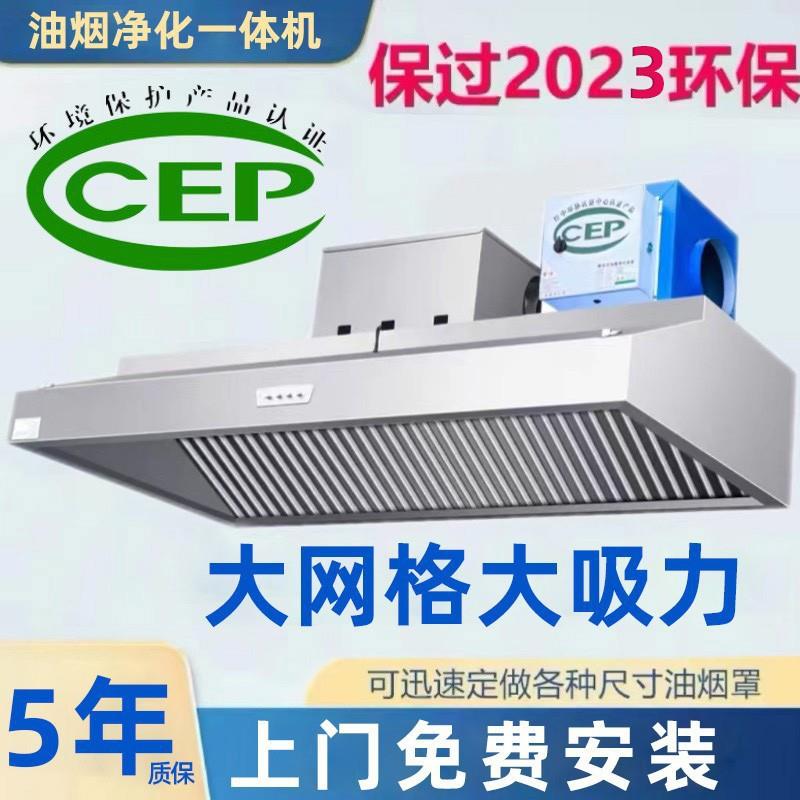 油烟净化商器用油机炸鸡过餐饮厨房饭店环保低LWB空排放一体烟排