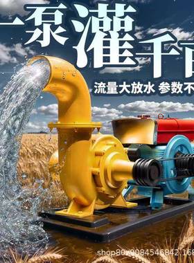 混流泵柴油水泵农31931用灌溉大型水机排抽涝防汛泵机车蜗壳抽抽