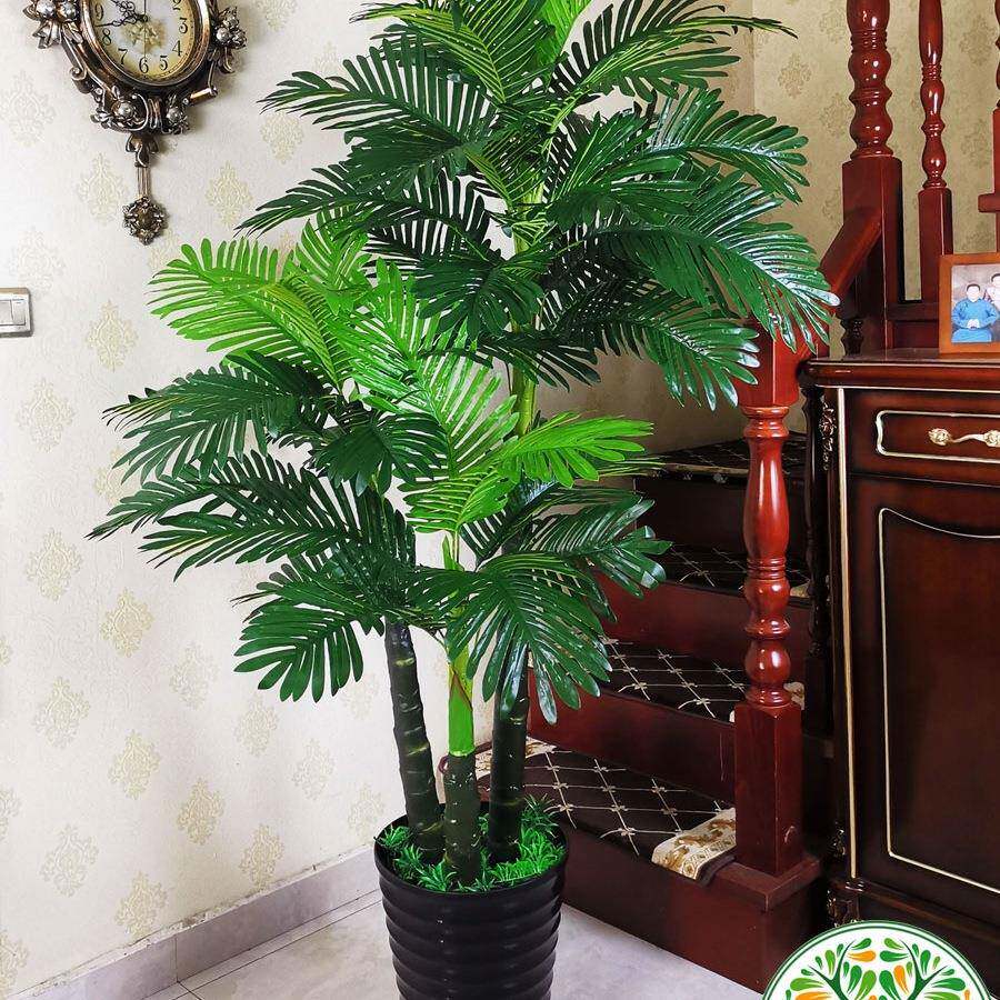 假树葵物树植盆栽地散尾客葵室内装饰大落型发财树10037398厅塑料
