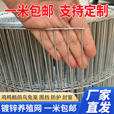 镀锌铁丝网养殖网自制鸽子围网鸟笼鸡兔笼围栏材料钢丝铁网防护网