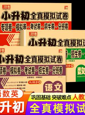 2025小升初真题卷语文数学英语必刷题人教版小学毕业升学总复习资料六年级下册试卷测试卷全套练习册名校模拟期末专项训练卷子2024