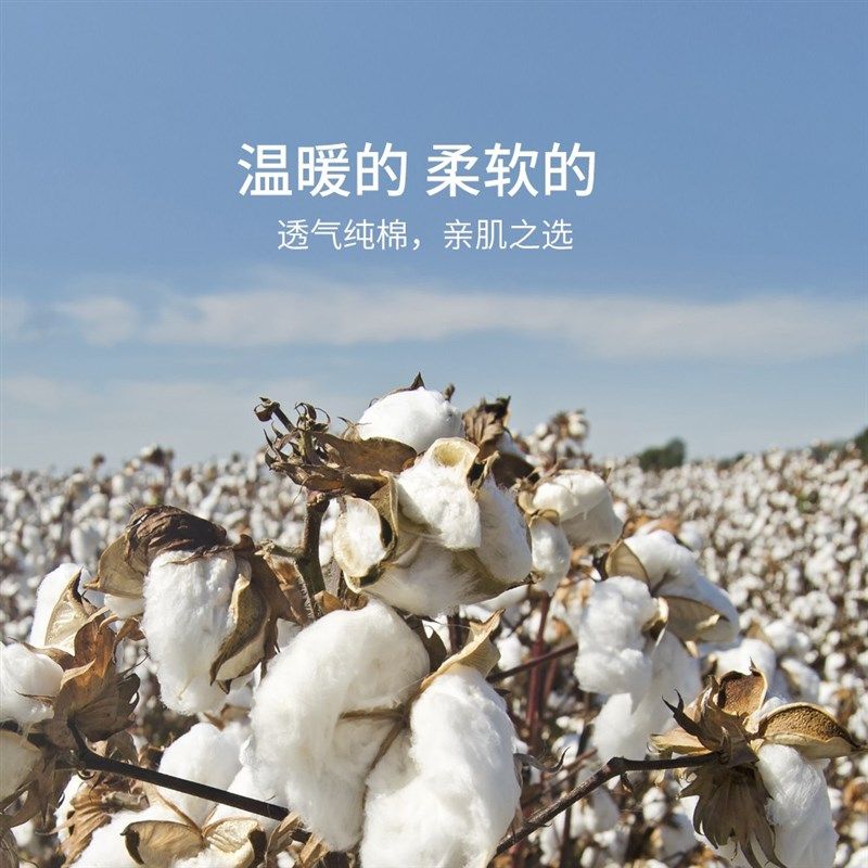 白色打底衫女秋衣内搭2023秋冬基础款圆领长袖t恤修身纯棉上衣服