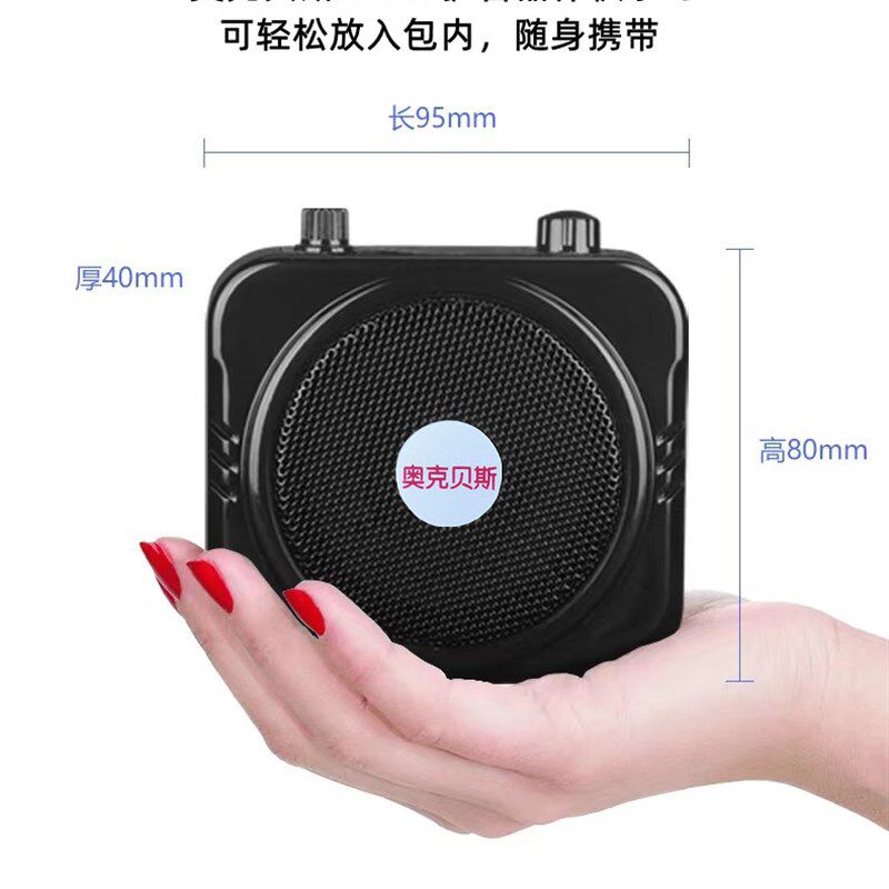 葫芦丝口琴二胡笛子中阮板胡长笛乐器户外教学叫卖导游便携扩音器