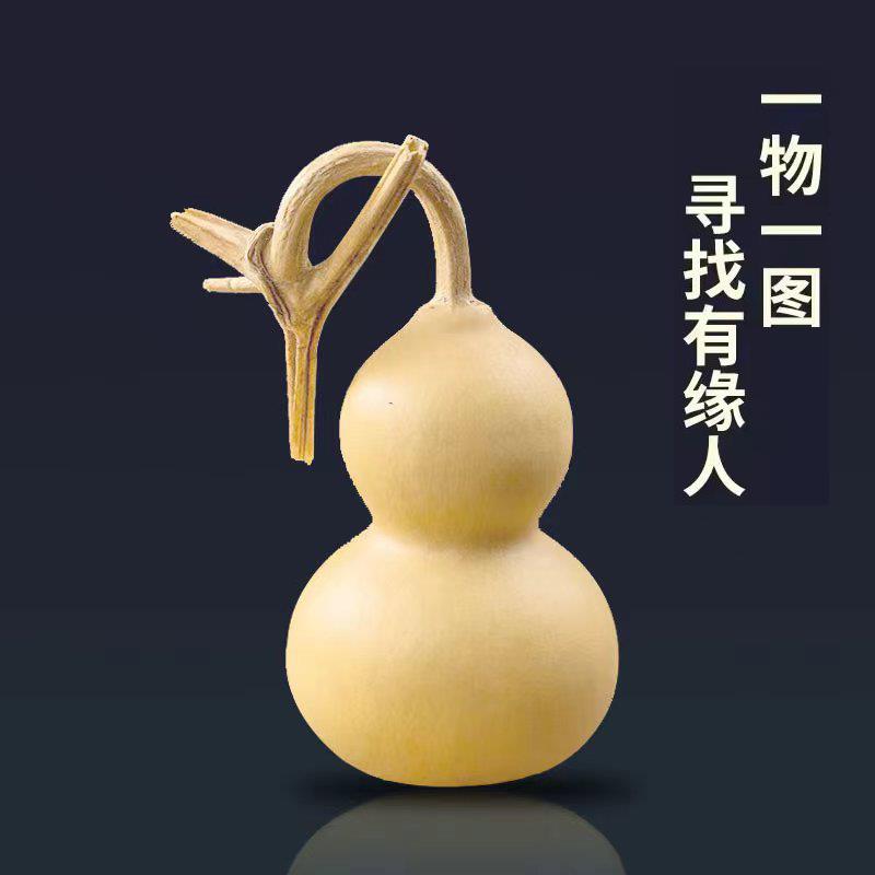 【一物一拍】文玩小葫芦带龙头养剑葫芦摆件挂件手把件手捻葫芦