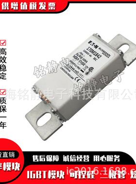 7170M1701260170M160117M1762170M1770170M1771巴斯曼熔断器现货