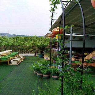 月拱门CGV德花架爬藤铁架花园季 花支架线莲绿萝植物架户外花门庭