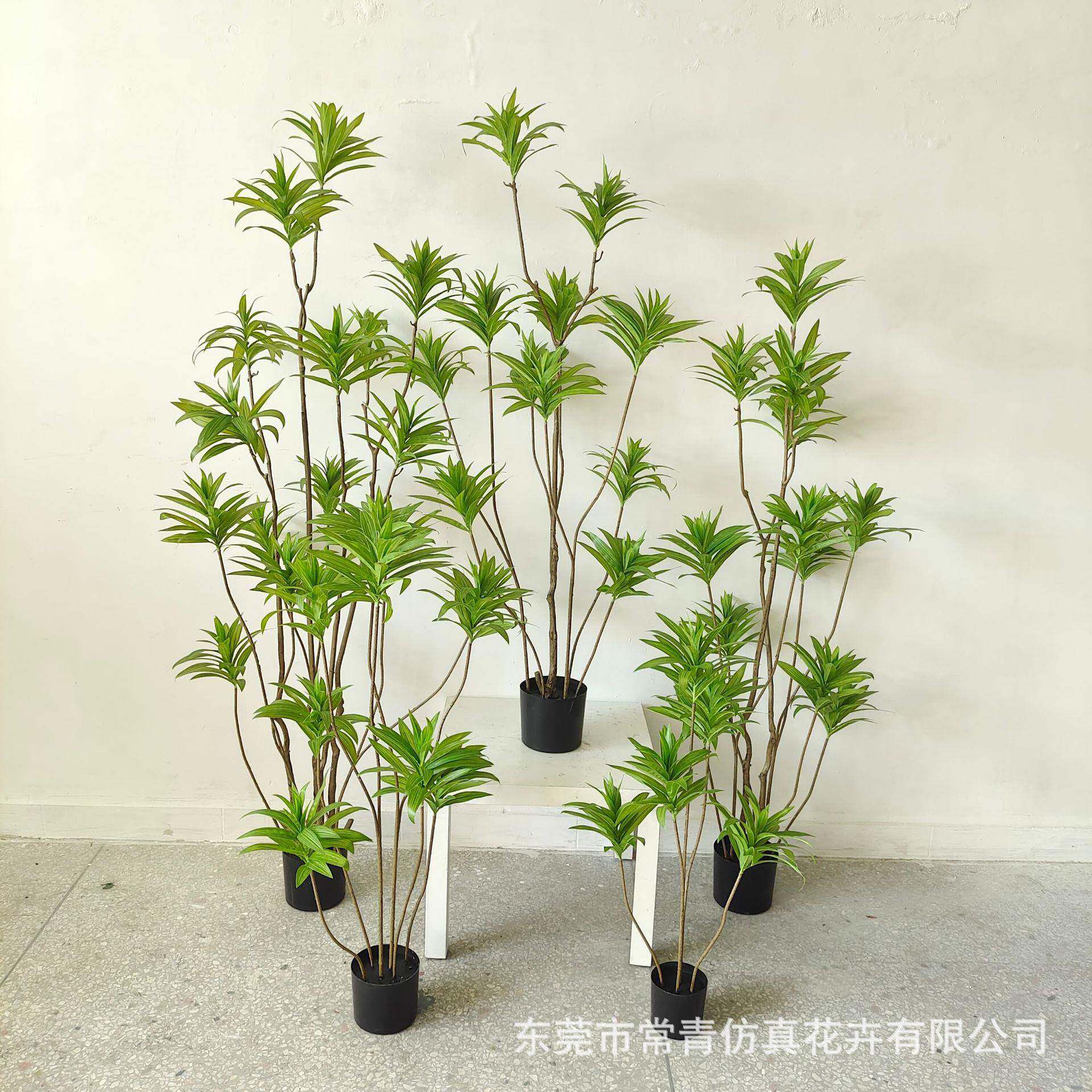 百合仿真绿植盆栽装摆件客厅大型竹仿生LXB绿植饰假植物仿真盆树