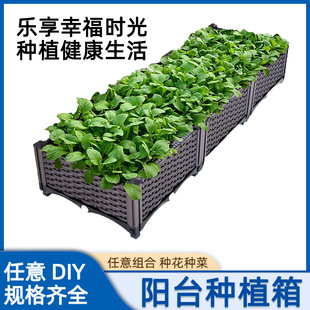 花园庭院楼顶阳台盆栽 种植箱加深家用蔬菜种植箱田园耐用懒人新款