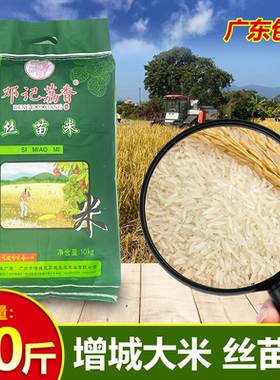 丝苗米增城荔香丝苗米20斤