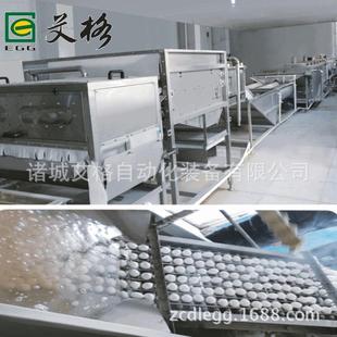 供应350型鹑蛋盐蛋卤制流水线ART 鹌鹑蛋蒸煮鹌剥壳机 卤蛋焗设备