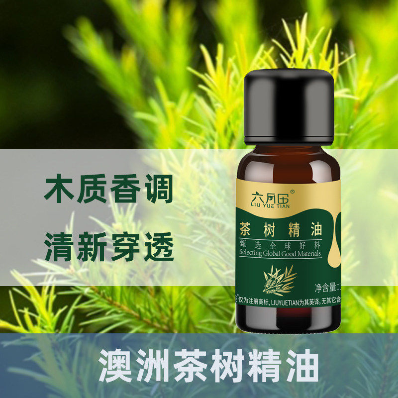 新疆六月田茶树精油单方澳洲进口原料面部护肤按摩香薰润肤精华油
