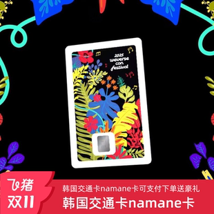 韩国交通卡namane卡地铁卡公交巴士韩游一卡通全韩通用济州岛首尔
