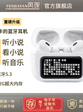 风羡A9看小说降噪蓝牙耳机无线入耳式带屏幕可插卡高音质自带内存