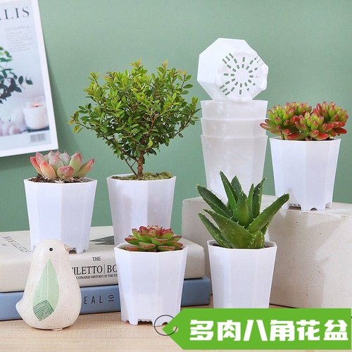 多肉专用加厚白色八角盆