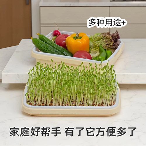 芽苗菜育苗盘阳台种菜盆发豆芽神器水培蔬菜种植盘家用食品级大号