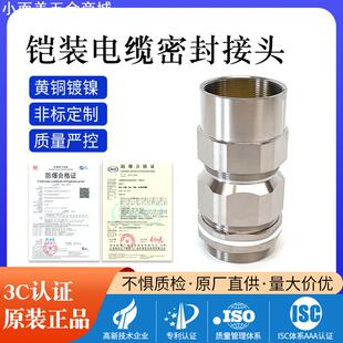 防爆铠装接管式格兰头 304不锈钢电缆防水接头夹紧双密封接头公制