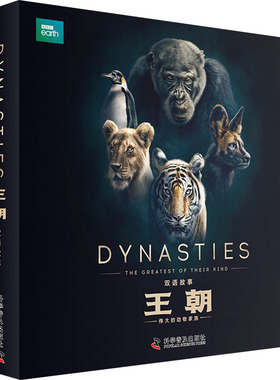 王朝双语故事全5册科学普及出版社英国BBC纪录片衍生读物动物家族故事中英双语适合6到9岁