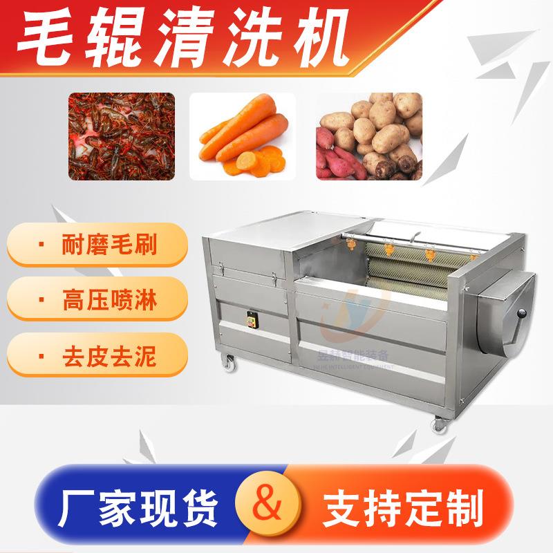 商用带壳海鲜去泥沙清洗设备全自动果蔬土豆胡萝卜毛辊清洗机