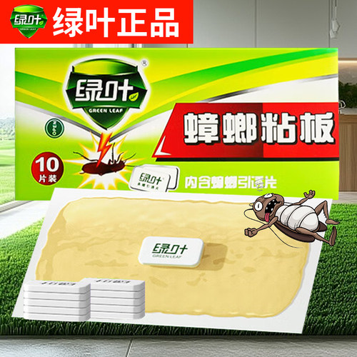 蟑螂屋强力粘板无毒特效