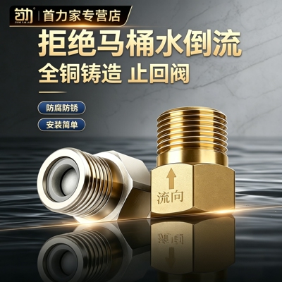 4分单向止逆阀热水器水表逆止阀