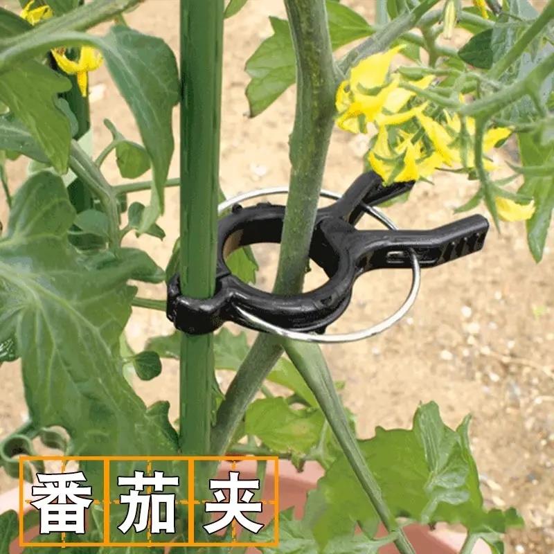 番茄固定夹菜架子黄瓜西红柿吊秧夹子柿支撑杆种植藤架爬藤架支架