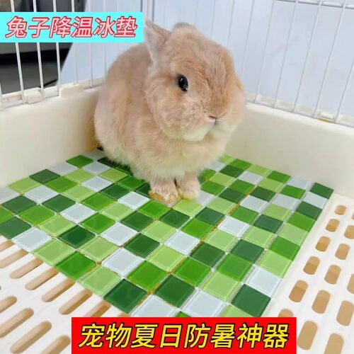 宠物降温仓鼠夏天降温夏季冰垫凉席消暑荷兰猪兔子散热避暑神器