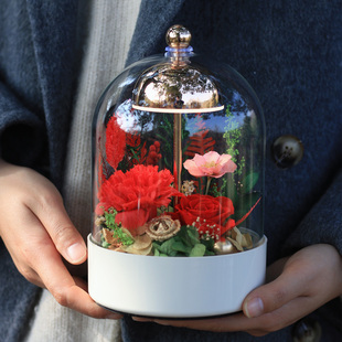 永生花台灯康乃馨真花高级感摆件实用型送妈妈生日女神母亲节礼物