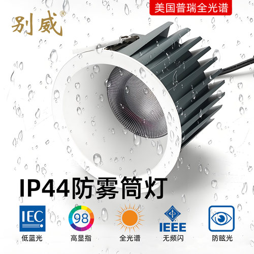 IP44防雾普瑞全光谱天花筒灯
