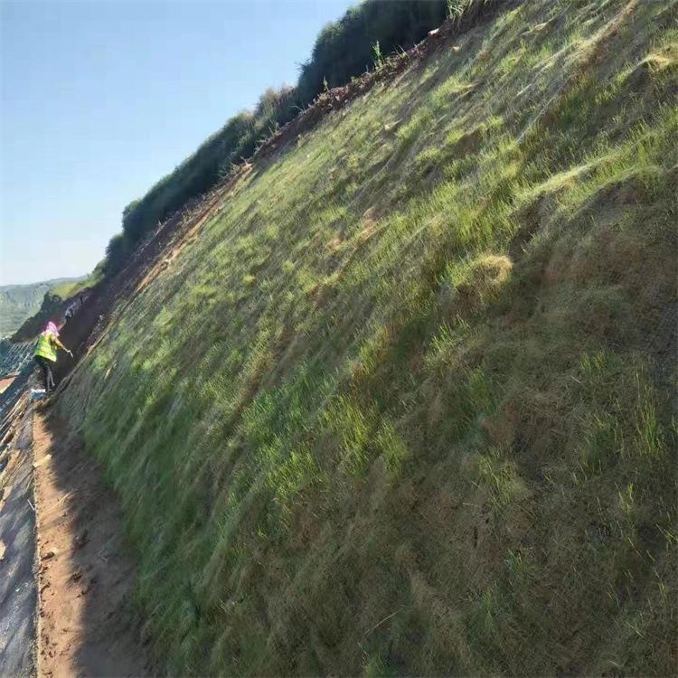 河道 抗冲771稻草纤维毯加筋抗冲公高速路毯椰丝毯