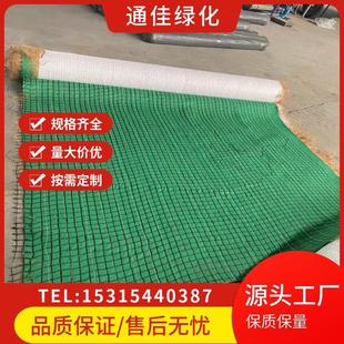 筋毯防503冲毯 护坡绿化毯 河绿化 抗加冲生物 河南郑州生态毯道