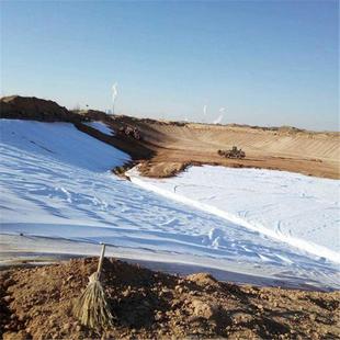 FLX合工 短丝复 防复合土工膜 水工程藕库池渗养殖土长丝两布一膜