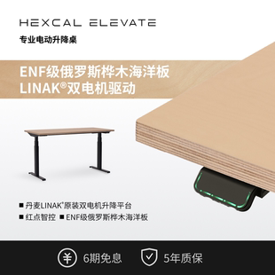Elevate H5桦木海洋板LINAK双电机160KG大承重可定制免费安装