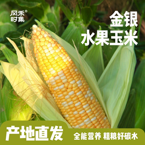 云南水果玉米新鲜蔬菜