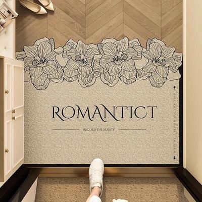 法式入户门地垫丝圈门垫进门门口玄关入门门外脚垫子家用地毯