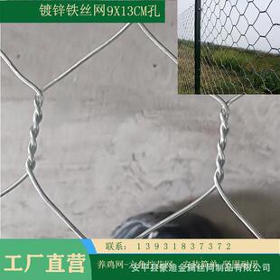 网拧花鸡线 花六插QKR角表网菜园围网 畜牧养殖网面光