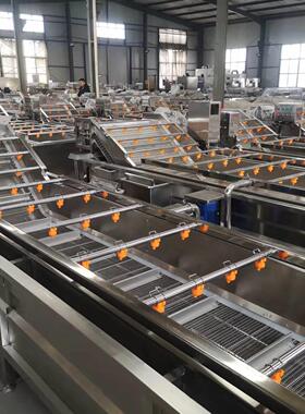 全自动番果茄蔬清洗机 青NSD节虾蟹清洗设备 柠檬气竹泡洗果机