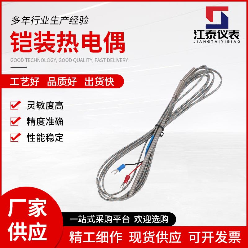 K型铠装热电偶WRNK-191探针温度传感器PT100/E/J热电阻探头高精度