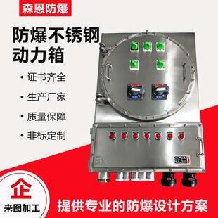 森恩bxmd防爆不锈钢弱电箱照明动力配电箱IIC检修插座控制箱IP65