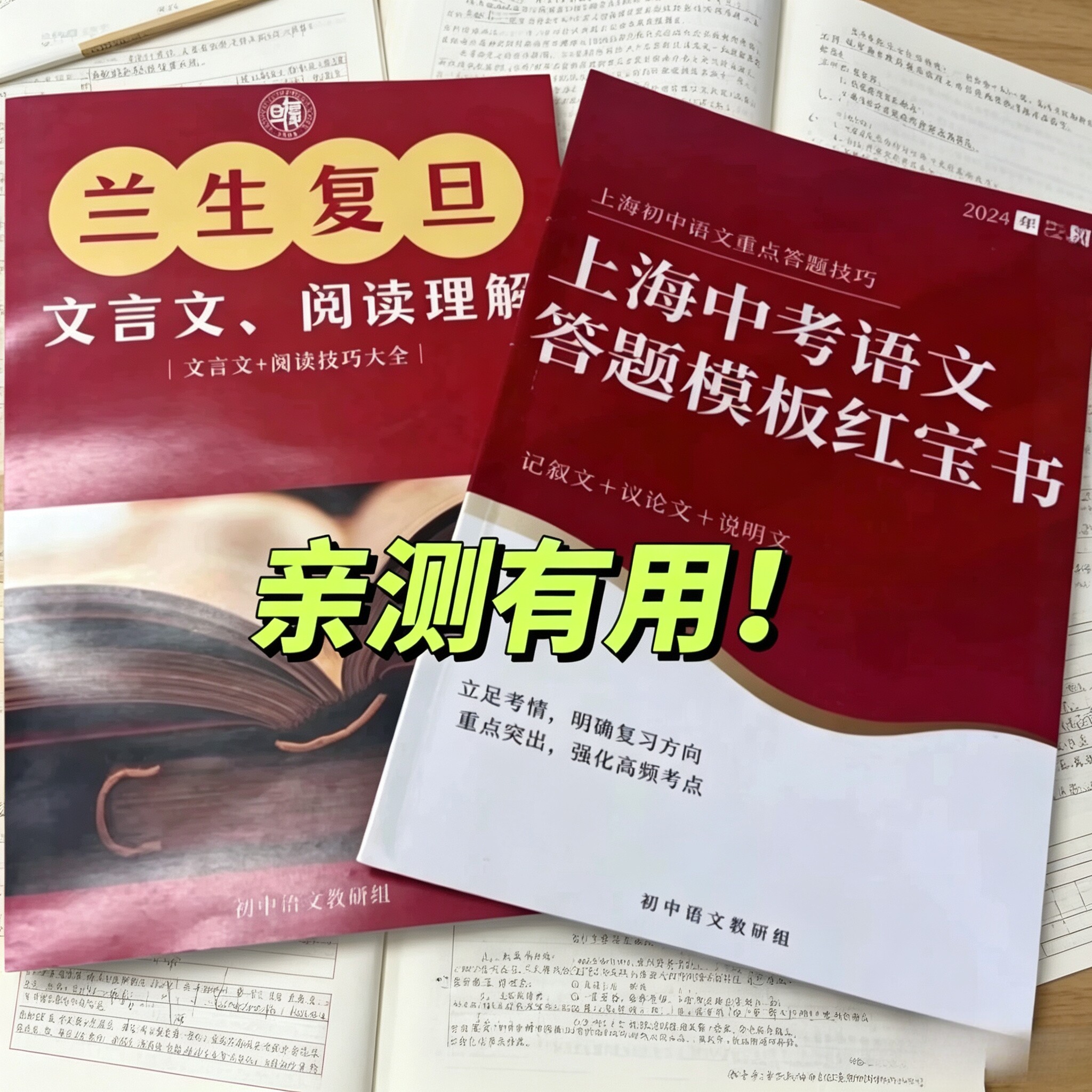 兰生复旦语文校本中小学古诗词文言文通识阅读理解基础知识高分技巧上海中考语文答题模版红宝书6789年级适用