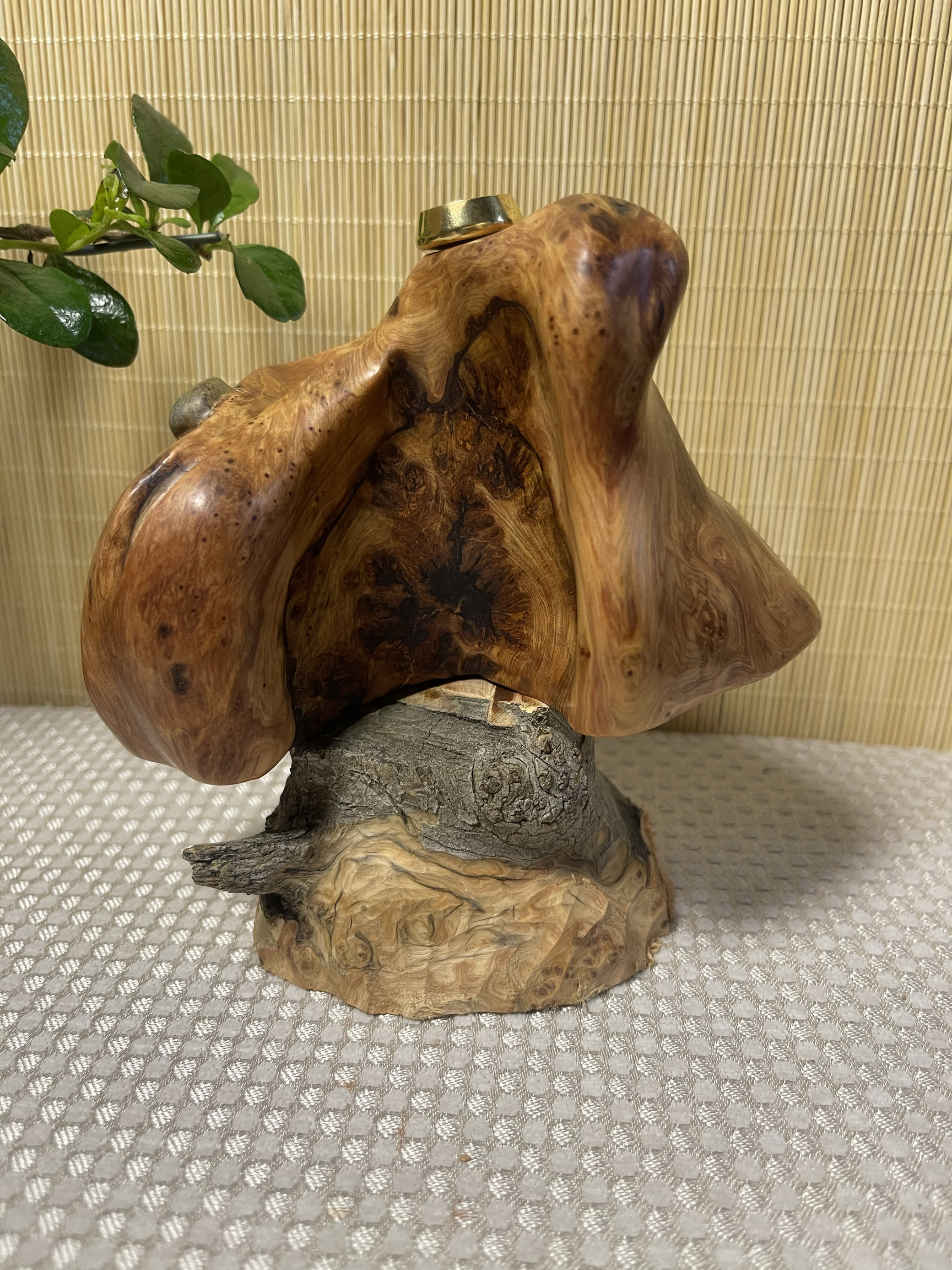 崖柏倒流香樱子瘤茶台摆件雕刻工艺品