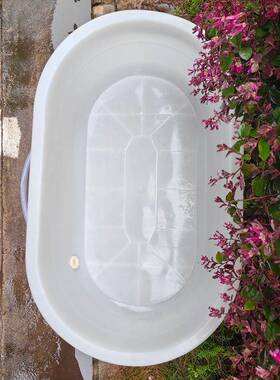 加厚NGY长成盆浴塑料盆人洗澡盆大人家用带水排椭圆浅盆卖鱼盆大