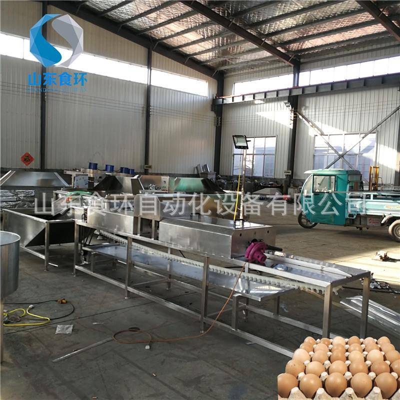 洗蛋机家禽蛋清洗机不锈钢鸡蛋清洗机多功能全自动蛋类清洗机