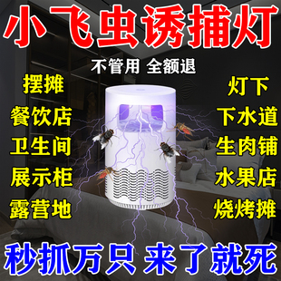 小飞虫诱捕灯蛾蠓克星驱虫药室内家用防虫摆摊灯下消灭杀夜蛾神器