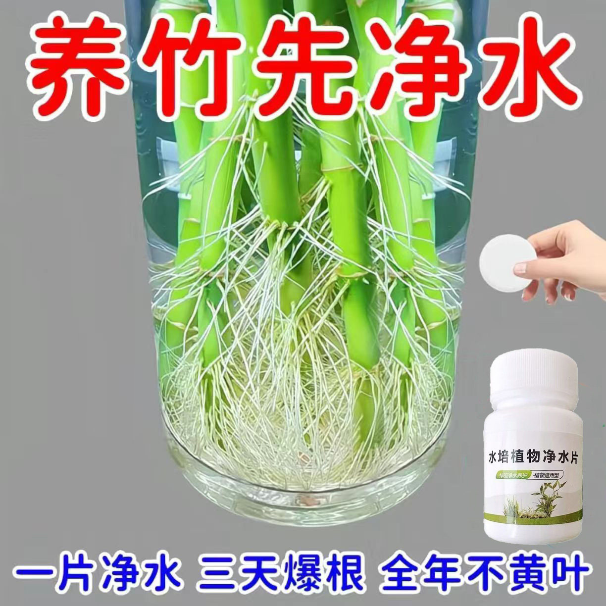 水培植物净水片除臭杀菌消毒鲜花花卉保鲜剂碗莲除藻专用净化水质,鲜花速递/花卉仿真/绿植园艺,家庭园艺肥料,淘宝优惠券,粉丝福利购,淘宝优惠卷